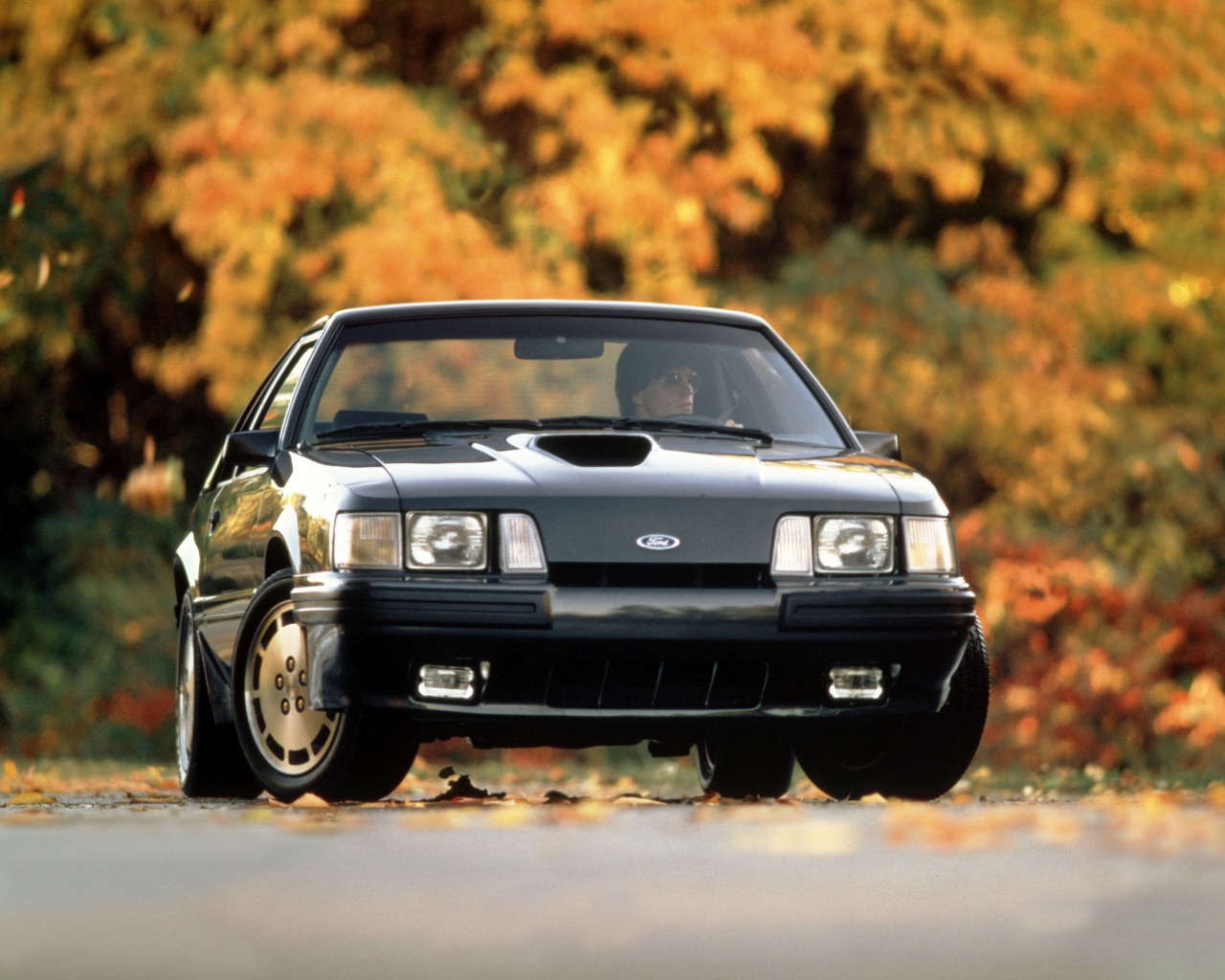 Mustang of the Day: 1984 Ford Mustang SVO - The News Wheel