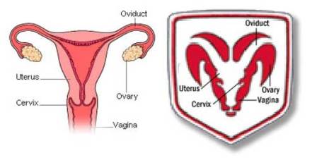 Dodge-RAM-logo-head-uterus-vagina-simila