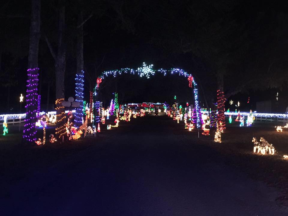 4 DriveThru Holiday Light Displays in Florida The News Wheel