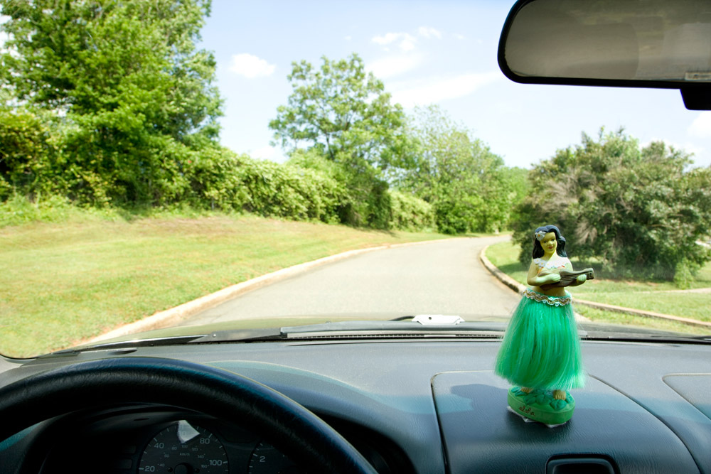 Car circa fucking stop survive