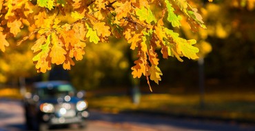 7 Best Road Trips for Fall Foliage