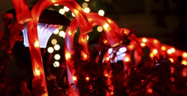 4 Drive-Thru Holiday Light Displays in North Carolina