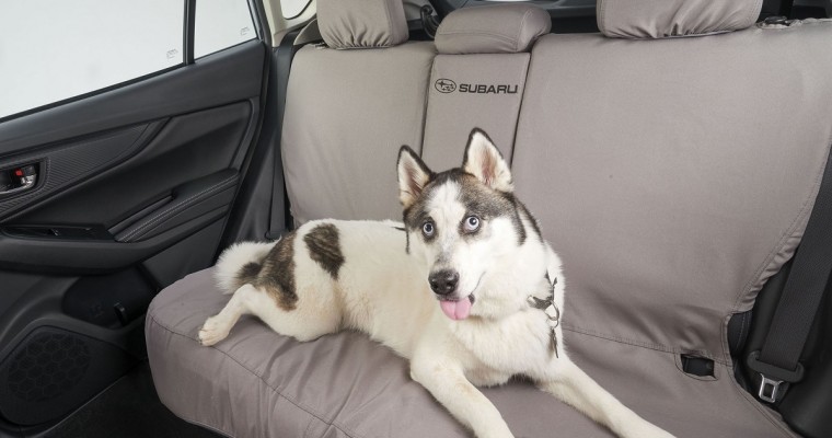 Subaru Launches Safe and Versatile Pet Accessories Line