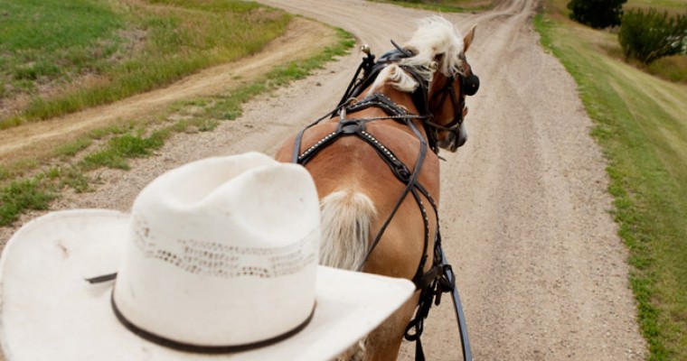 Police Suspect Amish Buggy in Hit-and-Run