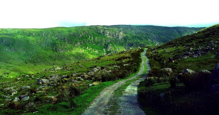 How to Grow Old Fast: Driving in Ireland