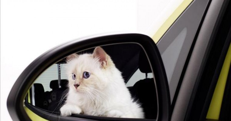 Cats In Cars: Opel’s 2015 Calendar Stars the Purr-fect Model