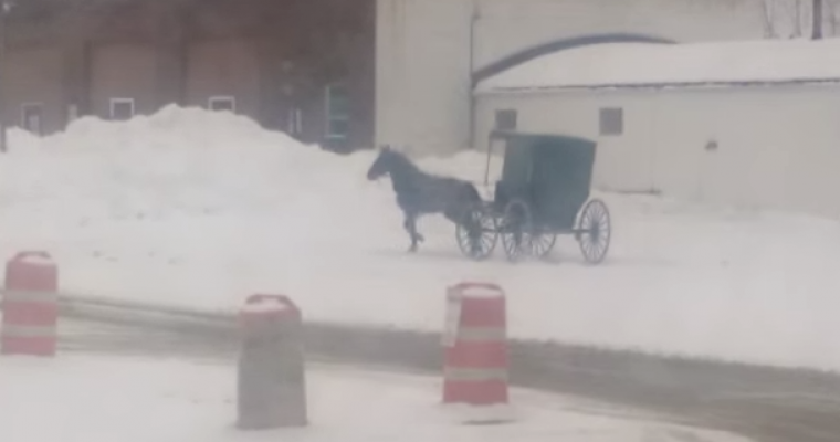 Watch an Amish Buggy Doing Donuts in Ohio