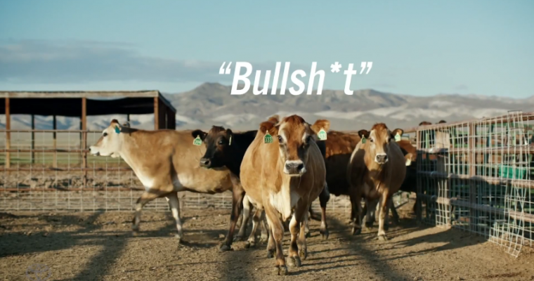 Toyota Says Mirai is “Fueled by Bullsh*t.” Seriously