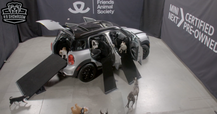 MINI K-9 Showroom Helps Raise Money for Animal Sanctuary