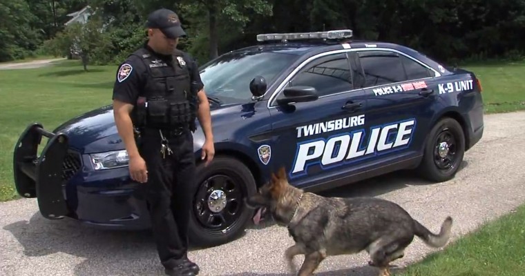 Ohio ‘No K9 Left Behind’ Program Aims to Keep Police Dogs Safe from Hot Cars