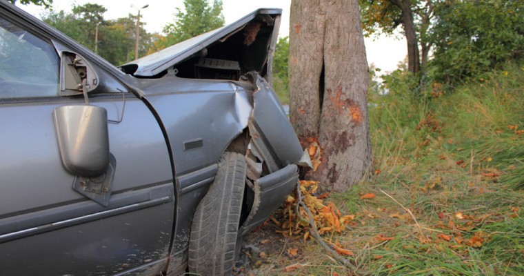 Man Wrecks Car Full of People Trying to Get in a Selfie