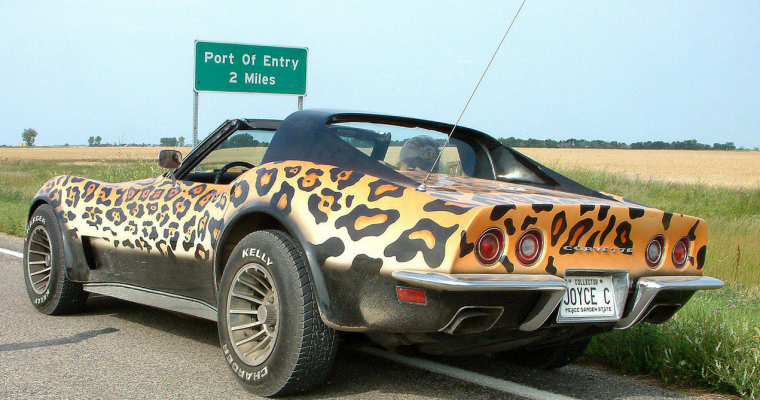 Leopard-Print Corvette Is Hot, HOT, HAAAWT