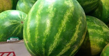 Vandals Terrorize Reno Neighborhood Cars with Watermelons