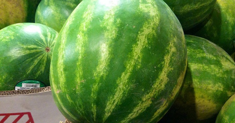 Vandals Terrorize Reno Neighborhood Cars with Watermelons