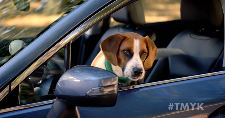 Subaru’s “The More You Know” Video Stars Andy Cohen and His Dog