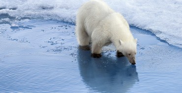 Study Suggests That a Cleaner Atmosphere May Cause Faster Arctic Ice Melting