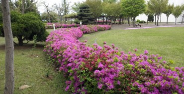 GM Establishes Wildlife Habitat at Gunsan, is Halfway to Habitat Establishment Goal