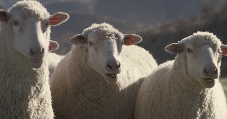 Honda’s Super Bowl Commercial for the 2017 Ridgeline is Not <em>Baaa</em>d