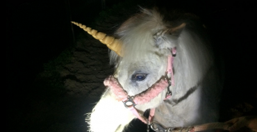 Unicorn Captured On California Roadway