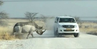 Angry Rhino Attacks Menacing Toyota SUV in Namibia