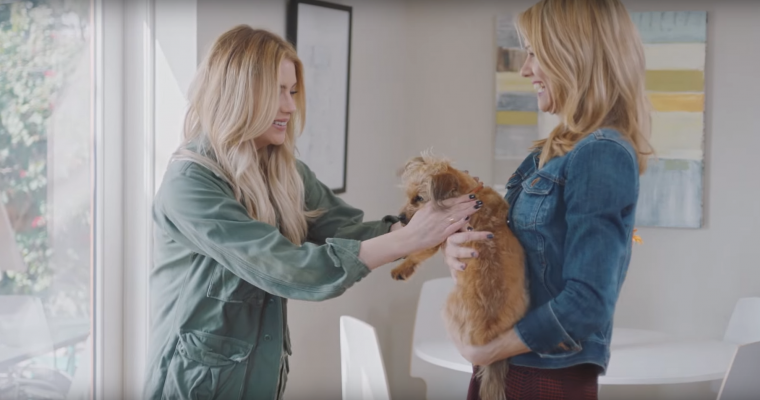 Ashley Benson Supports Wags and Walks for Chevy’s #DayItForward [VIDEO]
