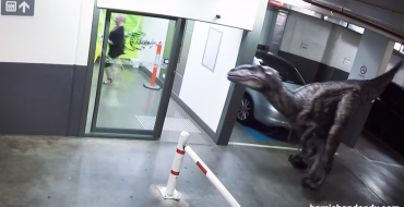 Watch Out For Dinosaurs in Parking Garages