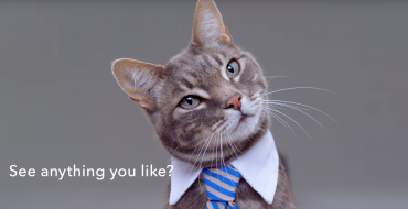 Honda Creates Singing Cats Commercial to Freak Out the Squares