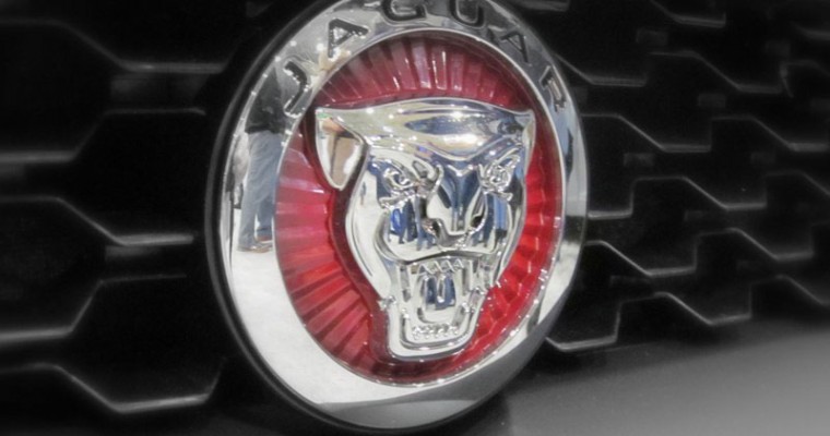 Behind the Badge: The Ferocious Jaguar Emblem and What It Represents