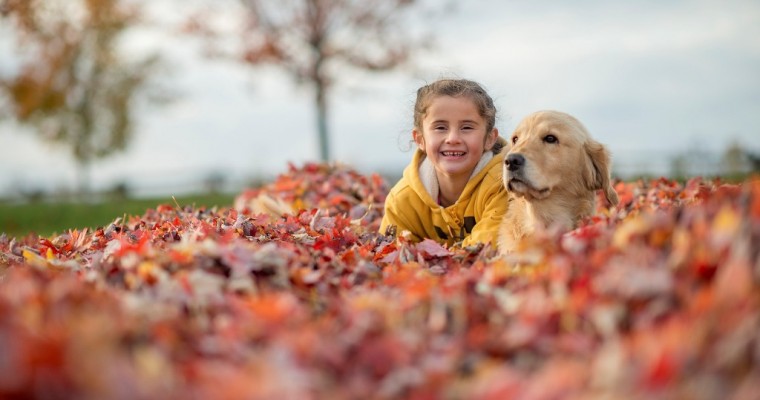 Tips for Looking at Colorful Fall Leaves Without Driving Dangerously