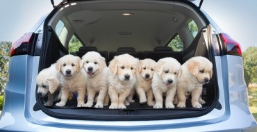 Opel: Here Are Some Good Dogs, and Also Cars