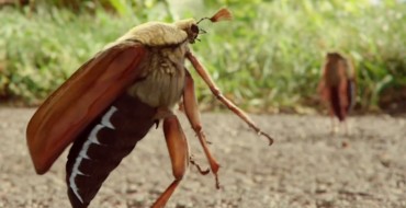 New Commercial: Opel Tries Selling Ampera-e with Insect Snuff Film