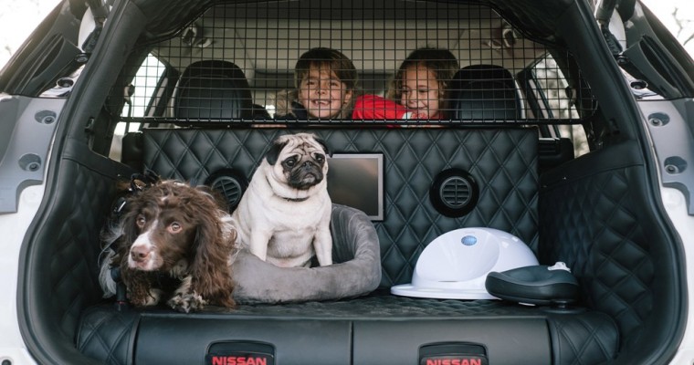 We Want the Nissan X-Trail Built With Dogs in Mind