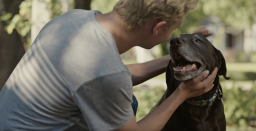 New Subaru Commercials Cause Emotional Breakdowns