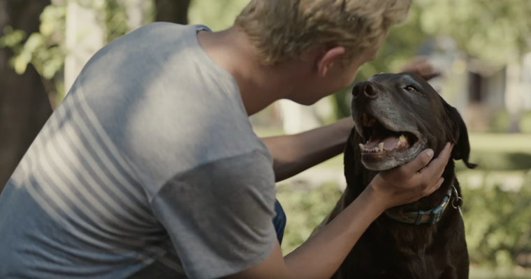 New Subaru Commercials Cause Emotional Breakdowns