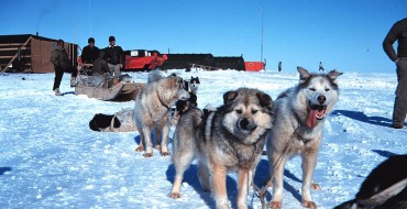 Team of Sled Dogs Drags Jeep Cherokee Out of the Snow in Alaska