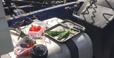 British Truck Driver Fined For Salad