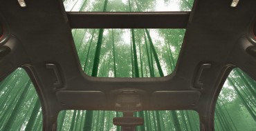 Ford Researching Methods for Bamboo Application in Vehicle Interiors