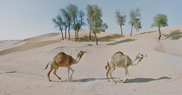 Photographer Travels the World via Google Street View