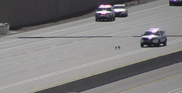 Two Fugitive Puppies Being Chased By Police Bring Traffic to a Standstill on I-17 in Phoenix