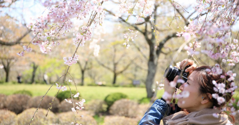 4 Midwestern Sites Worth Visiting on National Public Gardens Day