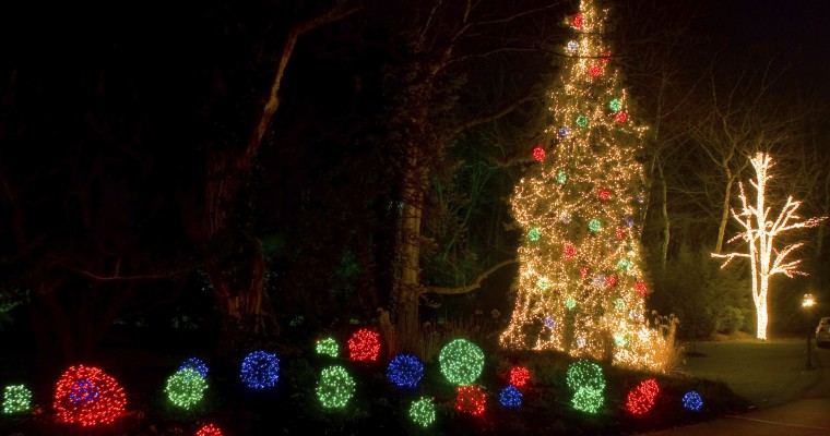 4 Drive-Thru Holiday Light Displays in South Carolina