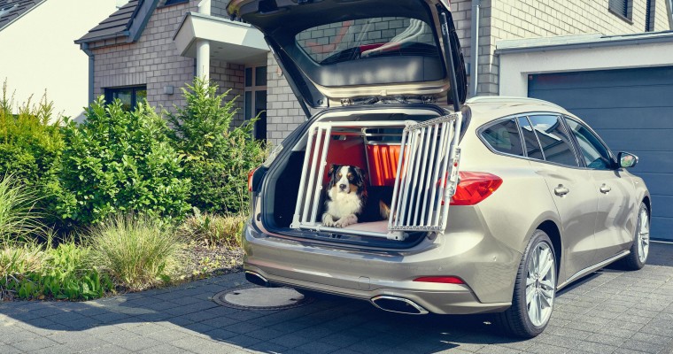 New Ford Focus Wagon Made For Big Dogs (Literally)