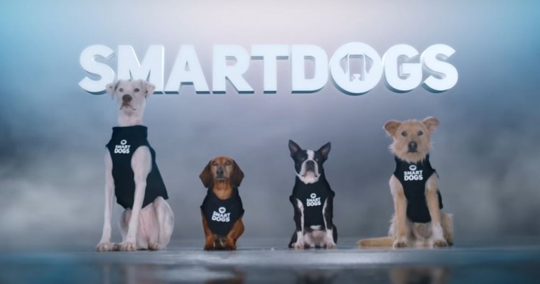 Smartdogs are Here to Smack Down Your Smartphone