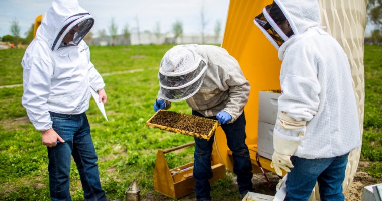 Ford Teams with Heroes to Hives Program to Help Vets, Honeybees
