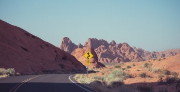 One Driver’s Cactus Collision…and a Refresher on Desert Driving Safety Tips