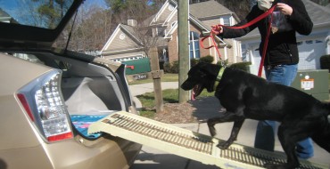 Top 3 Dog Ramps for Cars