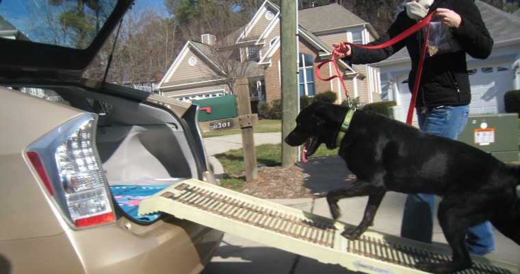 Top 3 Dog Ramps for Cars