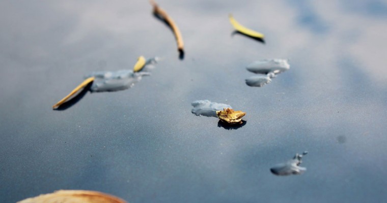 How To Get Sticky Tree Sap Off Car Paint