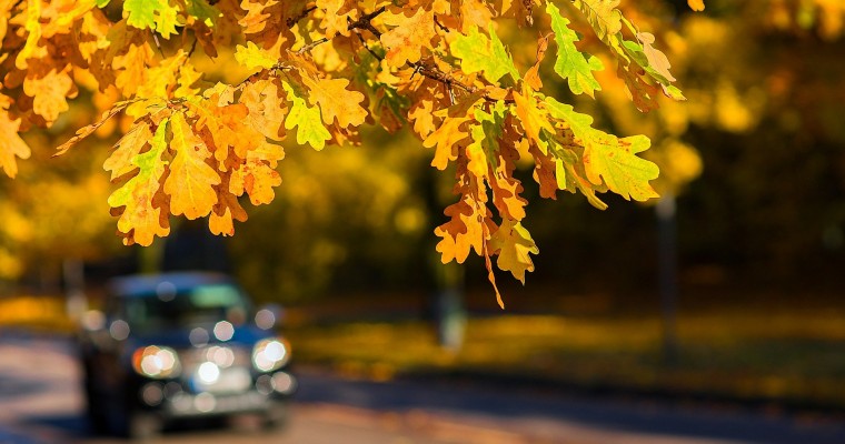 3 New England Road Trips to Take This Thanksgiving Break