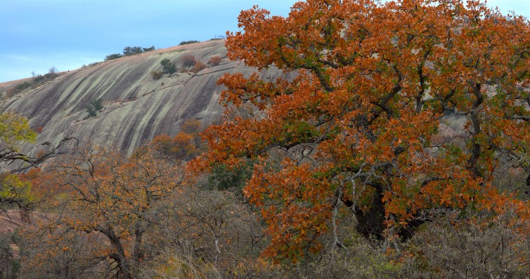 Best Scenic Drives to See Fall Foliage in Texas